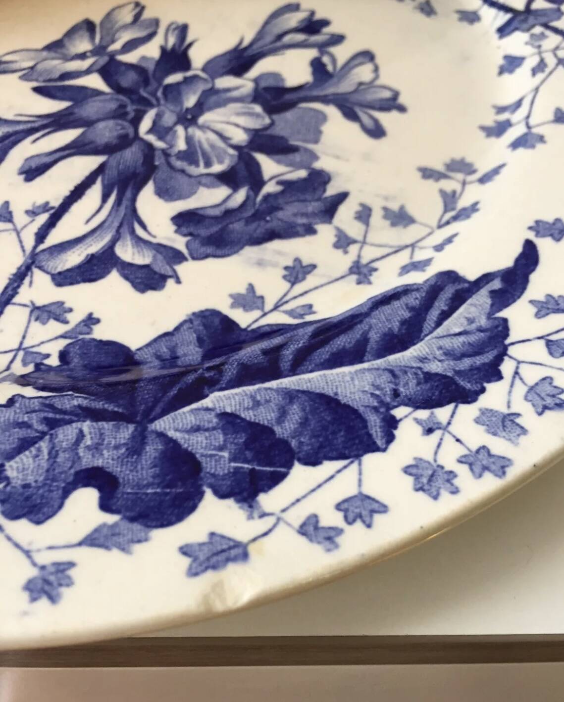 Ironstone plate Creil and Montereau primrose decoration 19th century