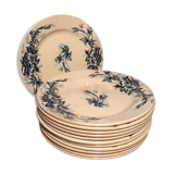 Suite of 12 land of iron plates