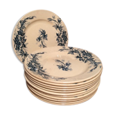 Suite of 12 land of iron plates