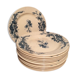 Suite of 12 land of iron plates