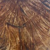 Old log