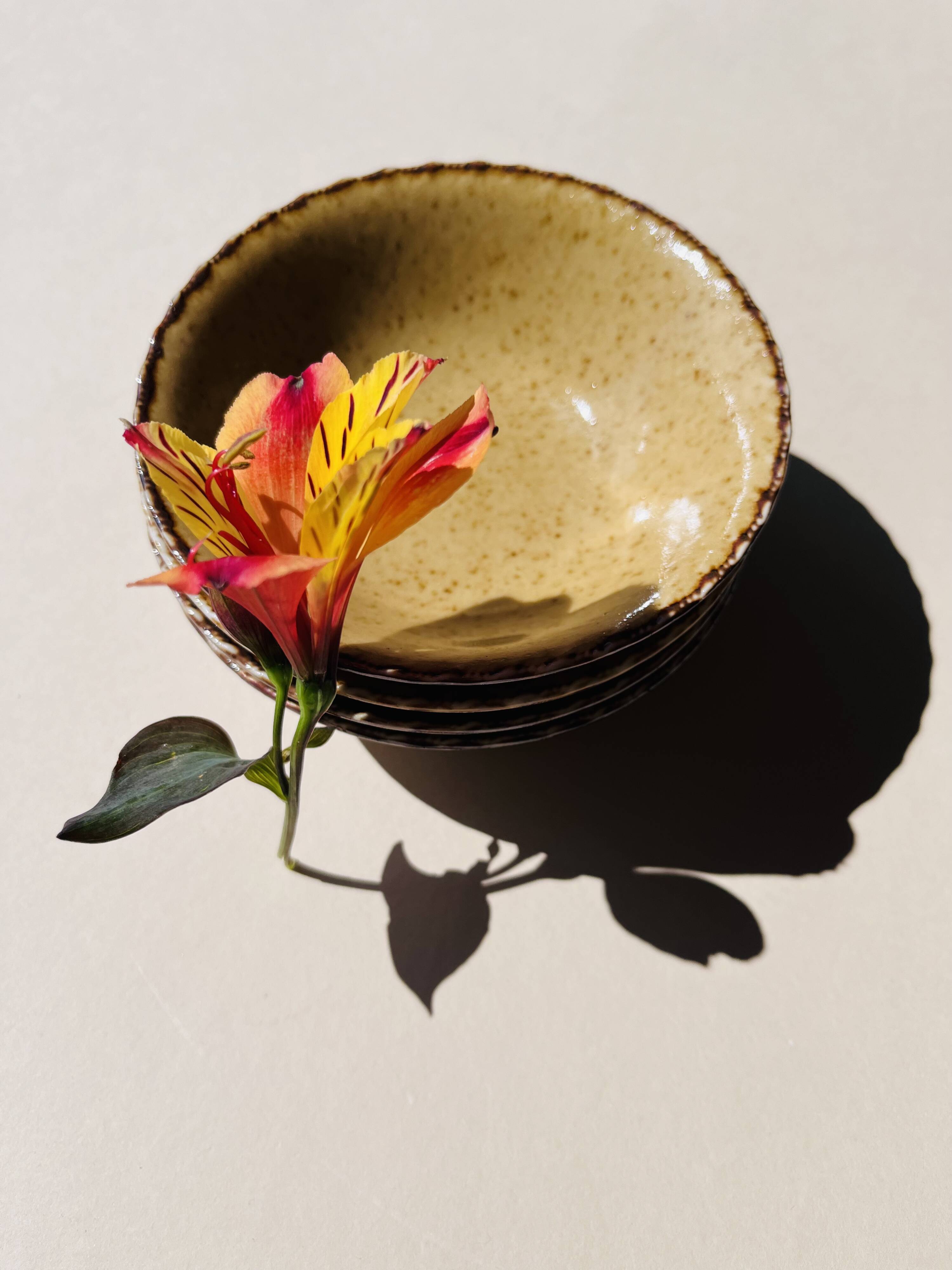 Set of 4 sand ceramic bowls