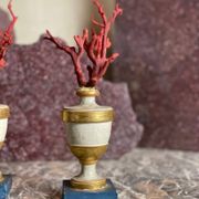 Pair of red corals on gilded and blue wooden bases