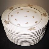 Lot 11 plates flat porcelain art of Limoges