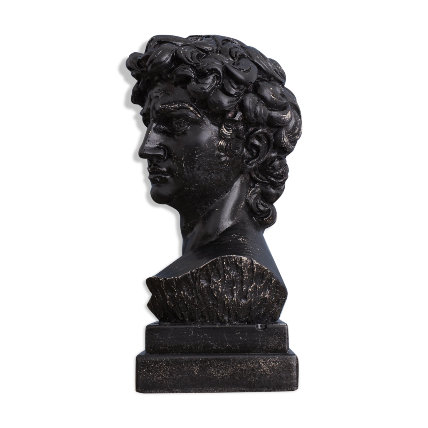 David head in black waxed bean