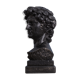 David head in black waxed bean