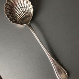 Sprinkling spoon