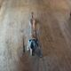 Silver metal knife holder Horses