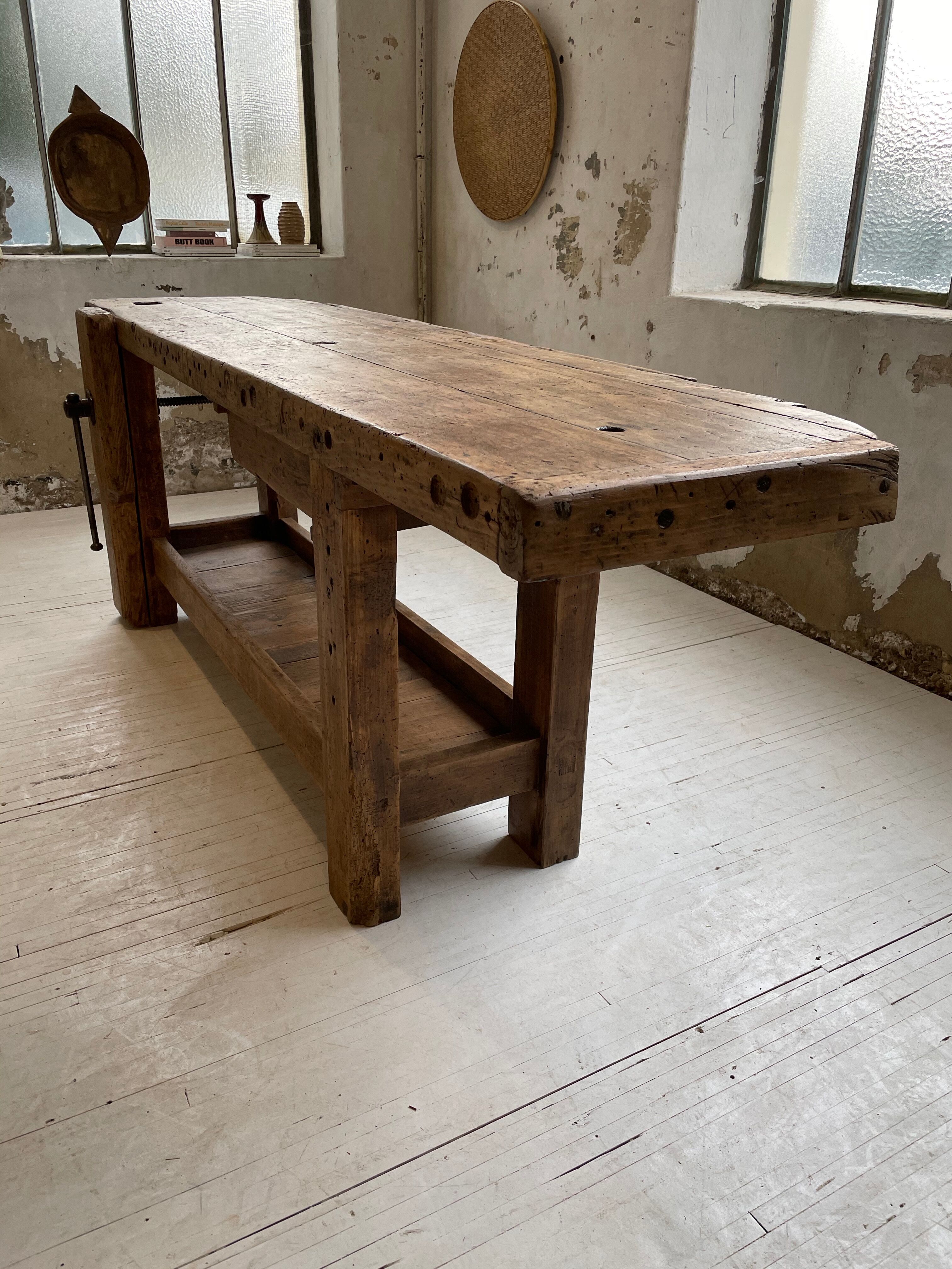 Established old oak XL