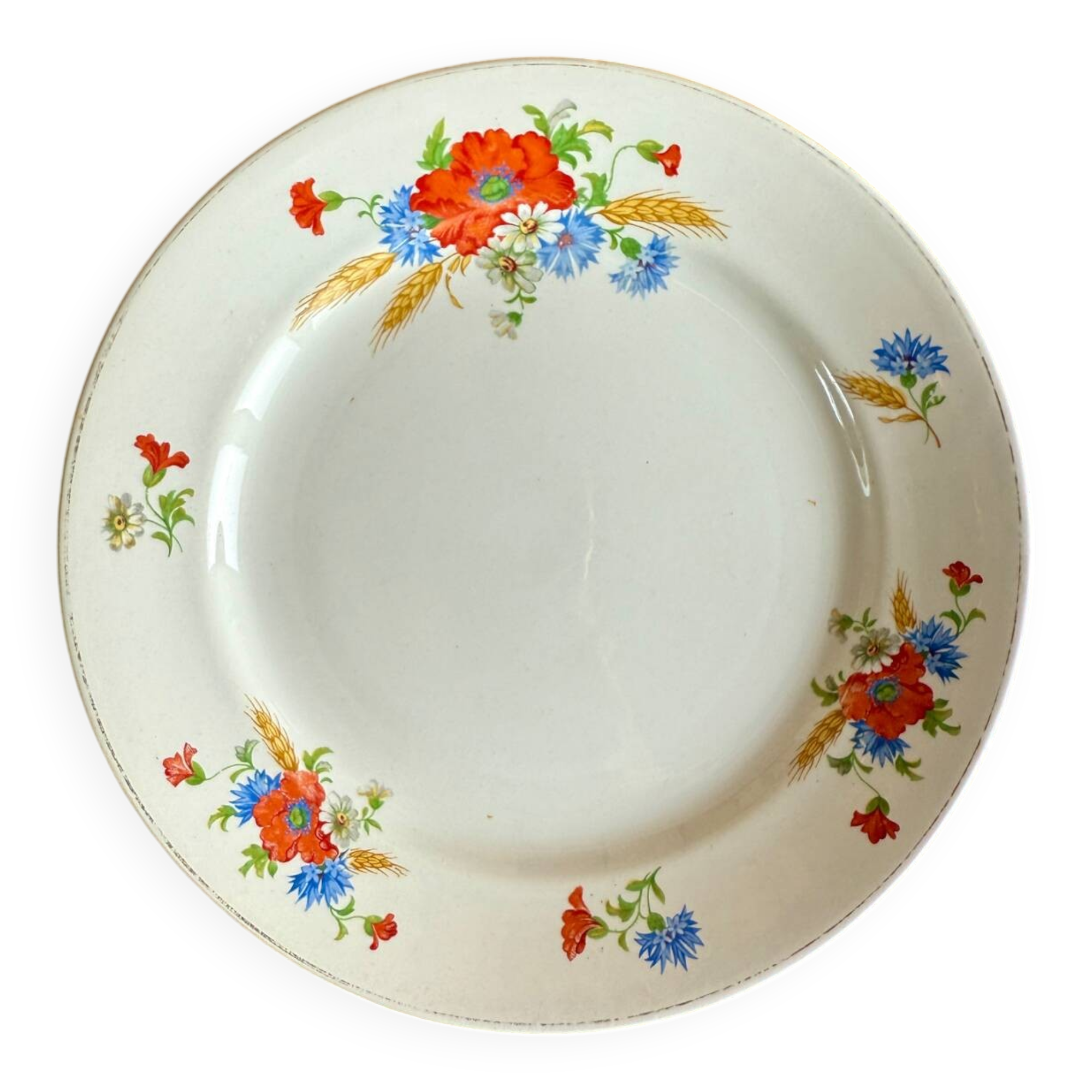 Set of 12 flat ironstone plates from Luneville