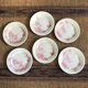 6 flat plates views of shabby pink orient