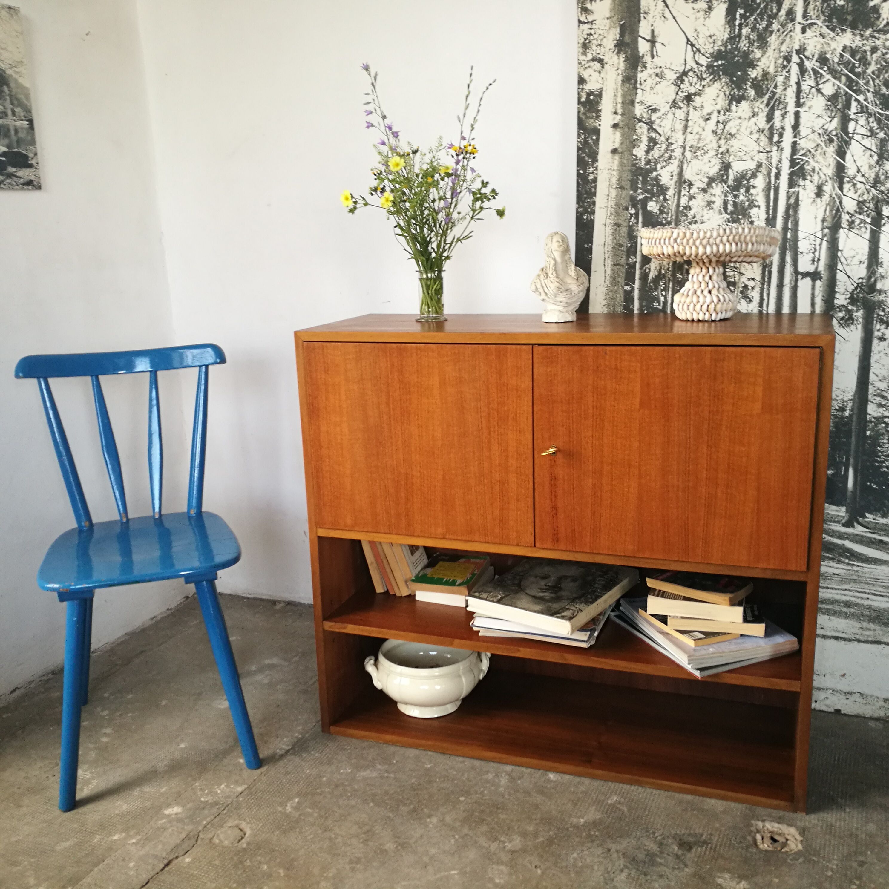 Shelf, mid century library