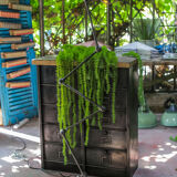 Lamp Jieldé 5 arm polished graphite