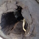 lamp, cart wheel hub