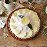 Lemon slushie, pie dish