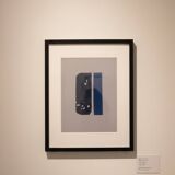 Pierre relieves in taste