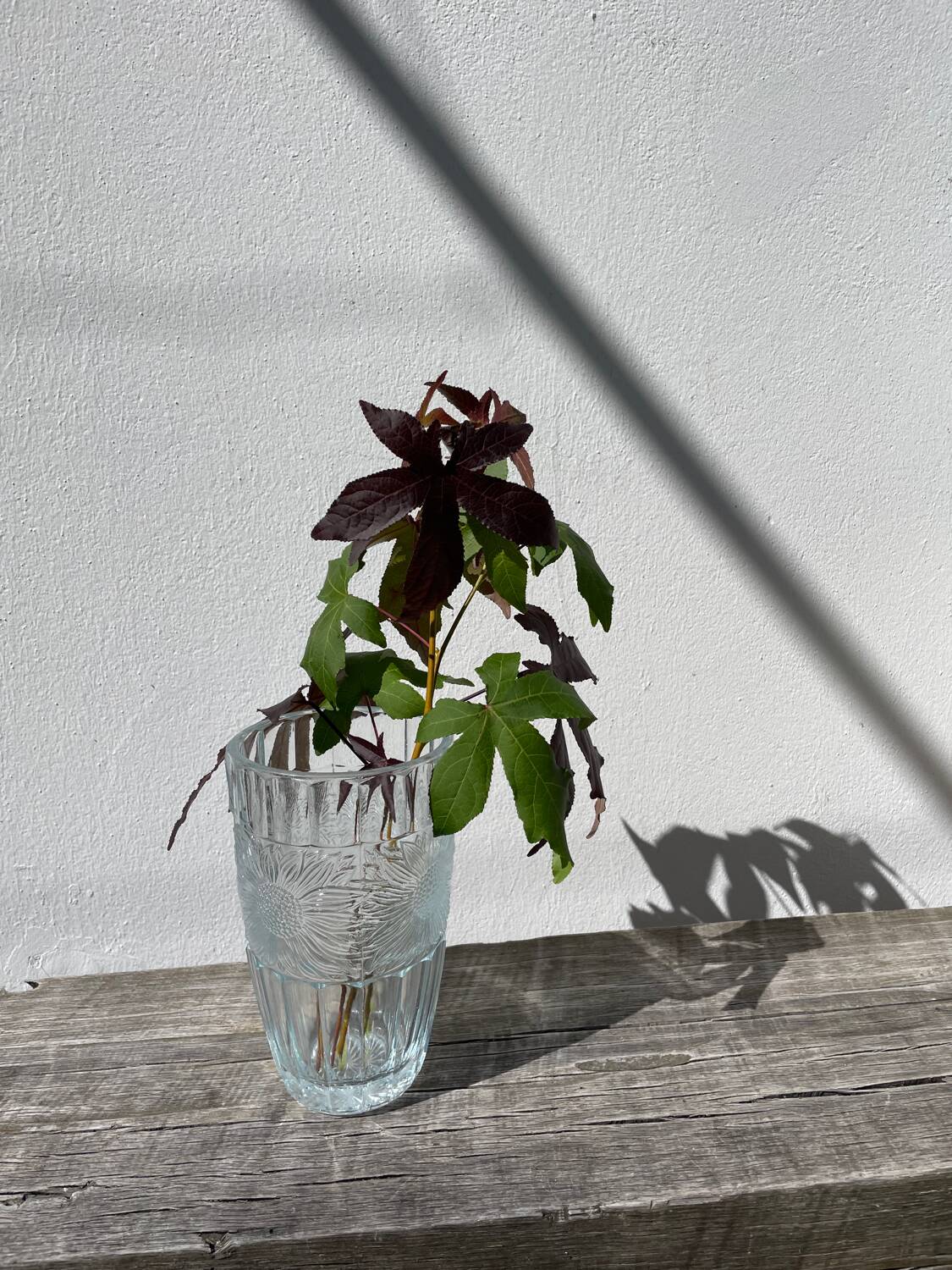 Glass sunflower vase 1990
