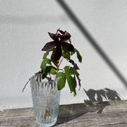 Glass sunflower vase 1990