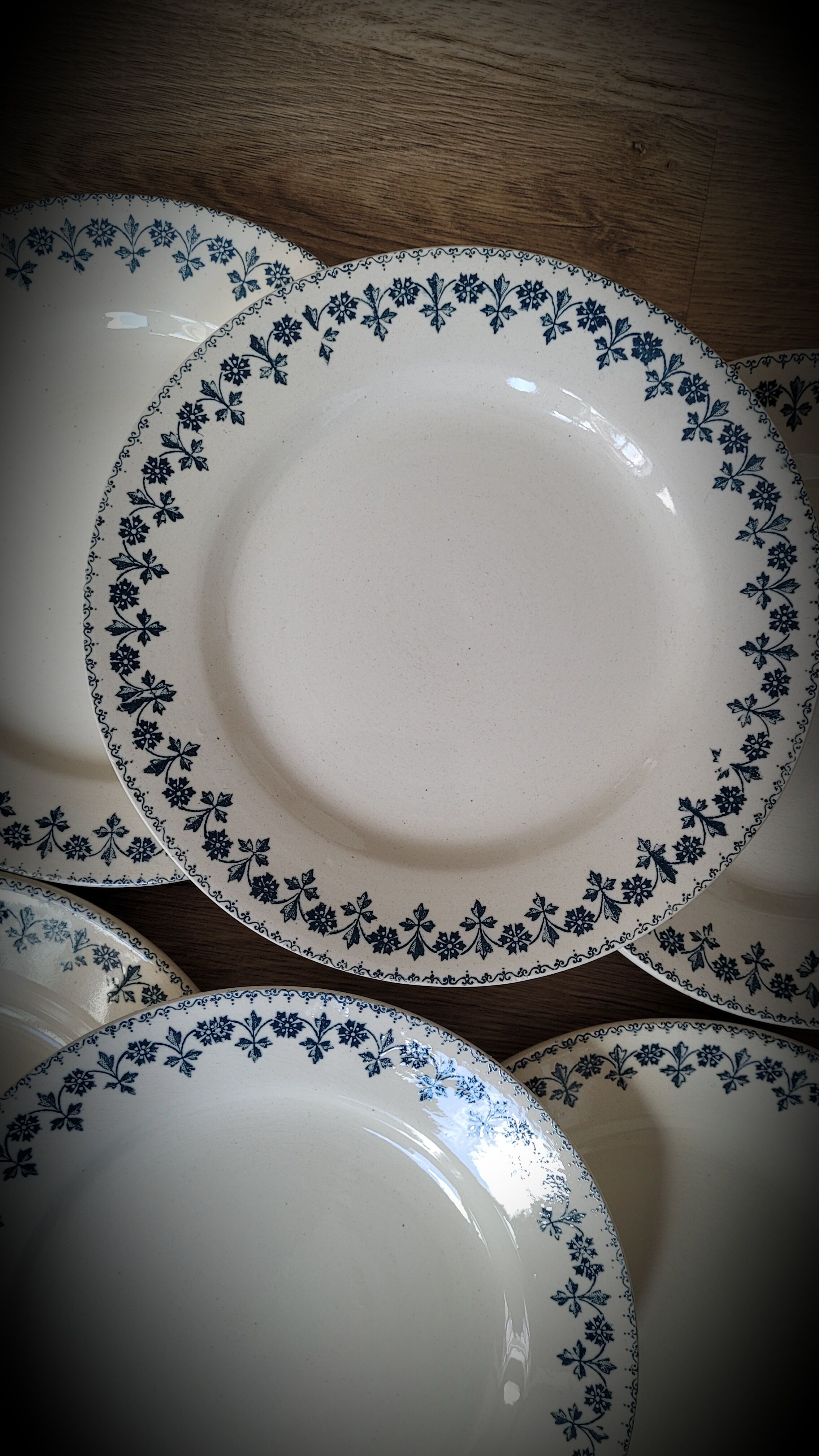 Set 6 plates Terre de Fer Barbeaux