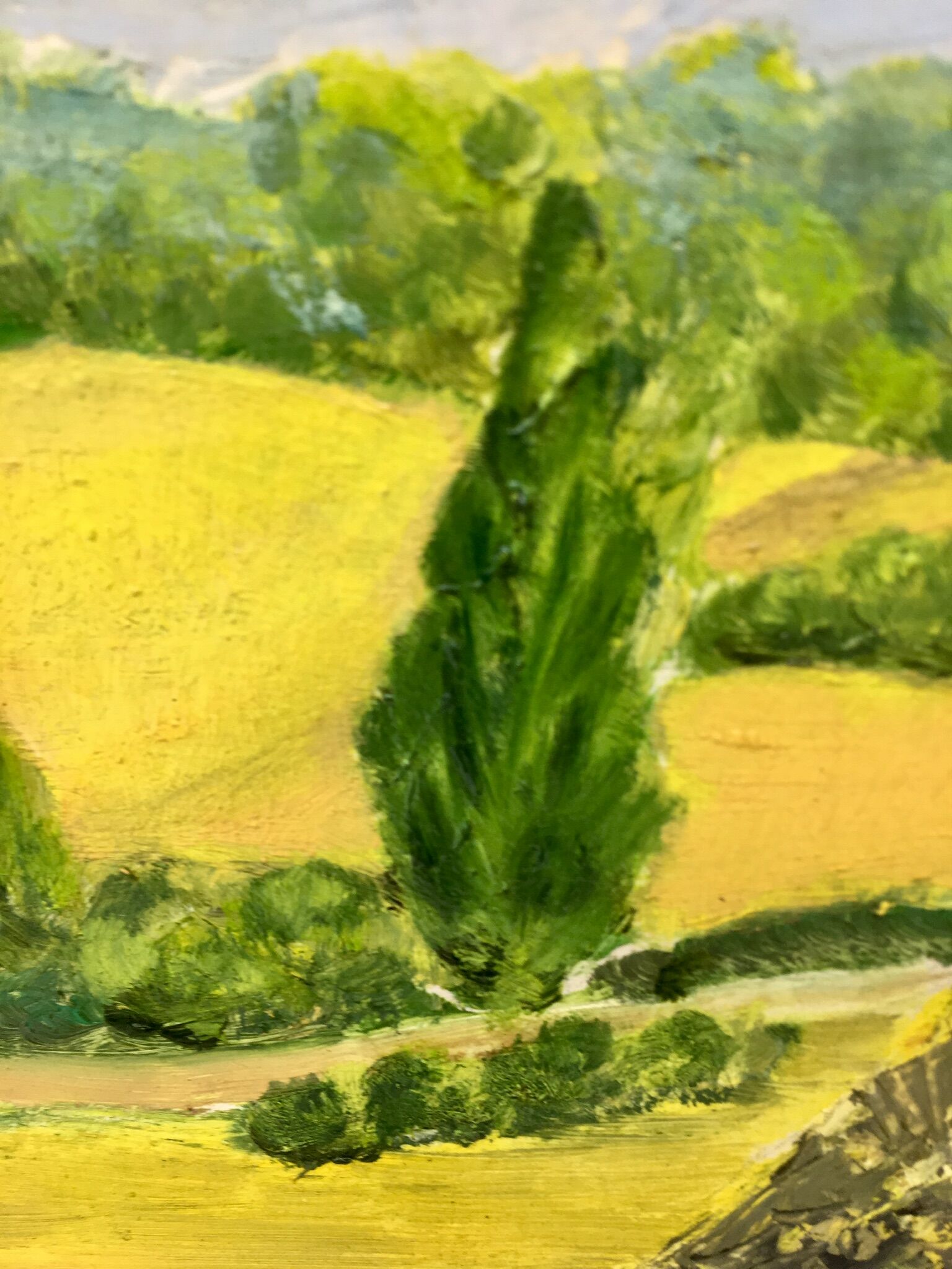 Table summer landscape years 60/70