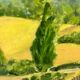 Table summer landscape years 60/70