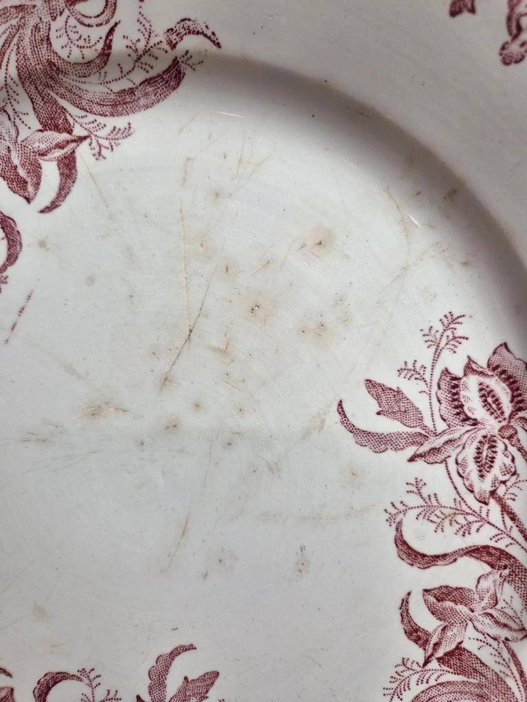 Round antique Saint-Amandoise plate – Iris model – Earthenware