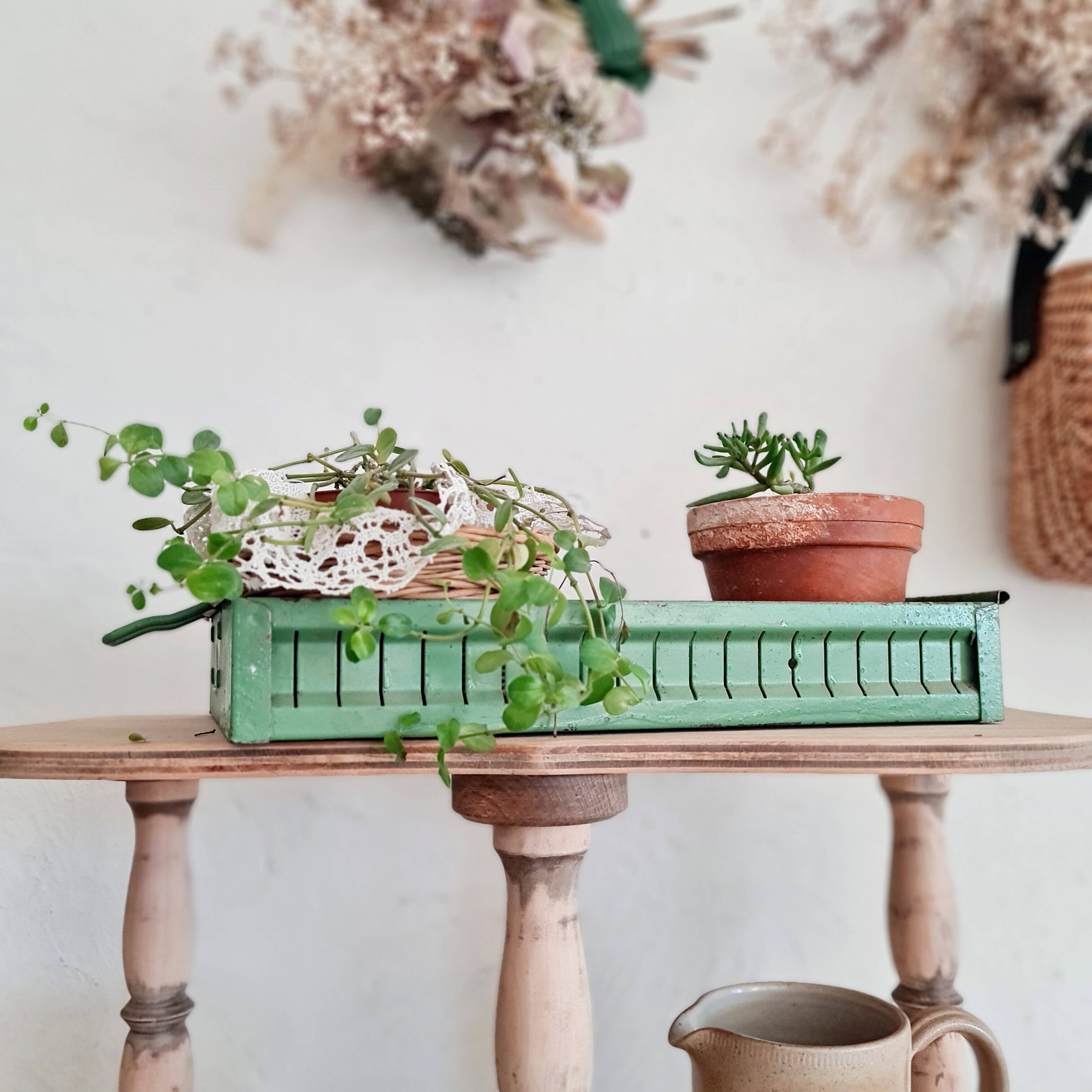 Green metal workshop drawer - tray