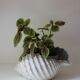 Large iridescent barbotine shell bowl, Italy vintage