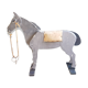 Cheval de bois