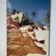South desert photo 70s