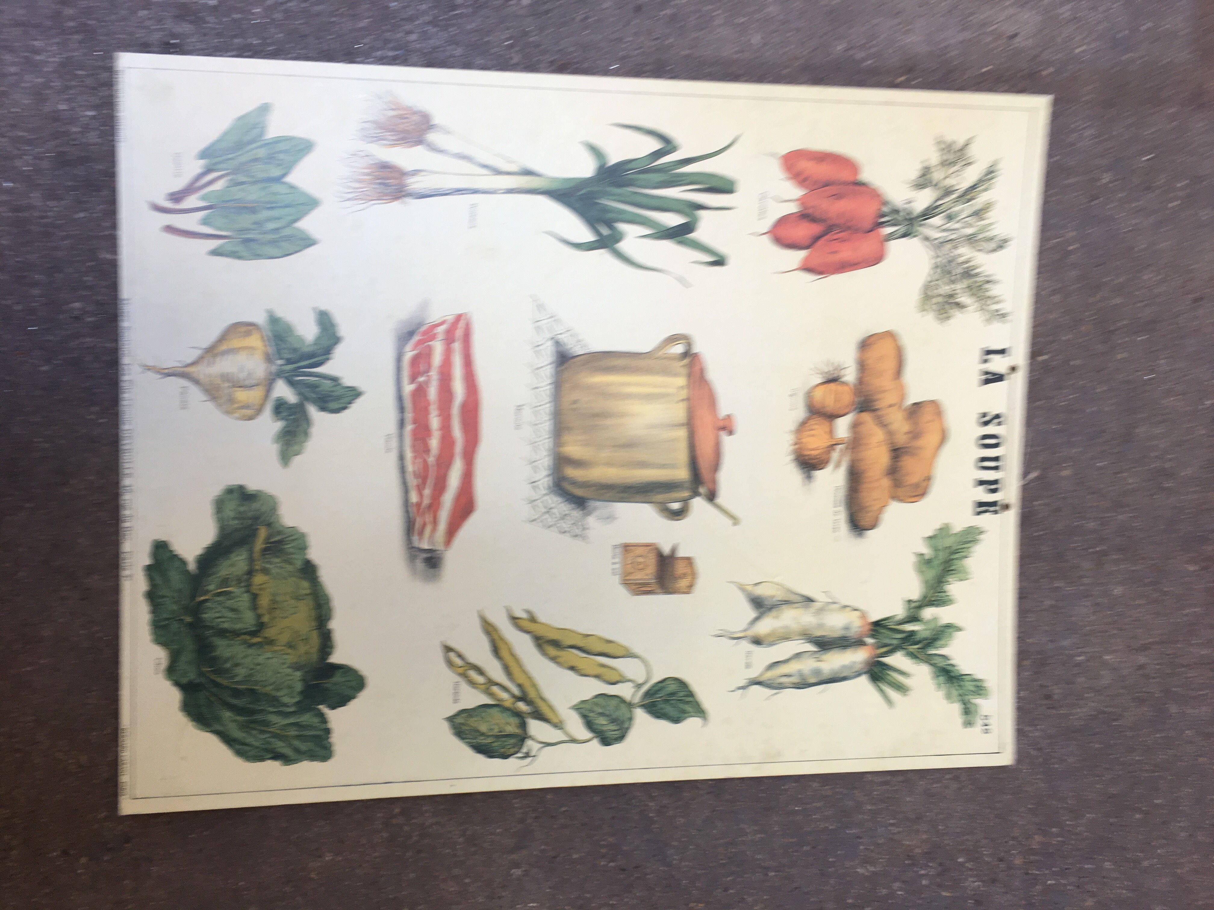 Pedagogical poster "soup" school museum of Emile Deyrolle