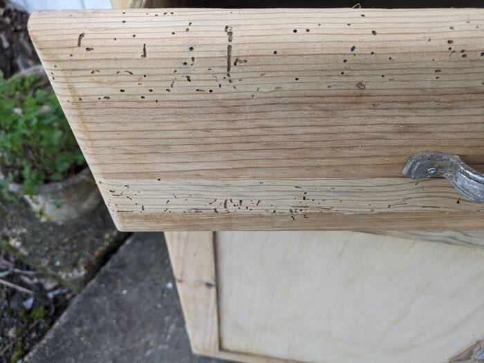 Parisian style buffet