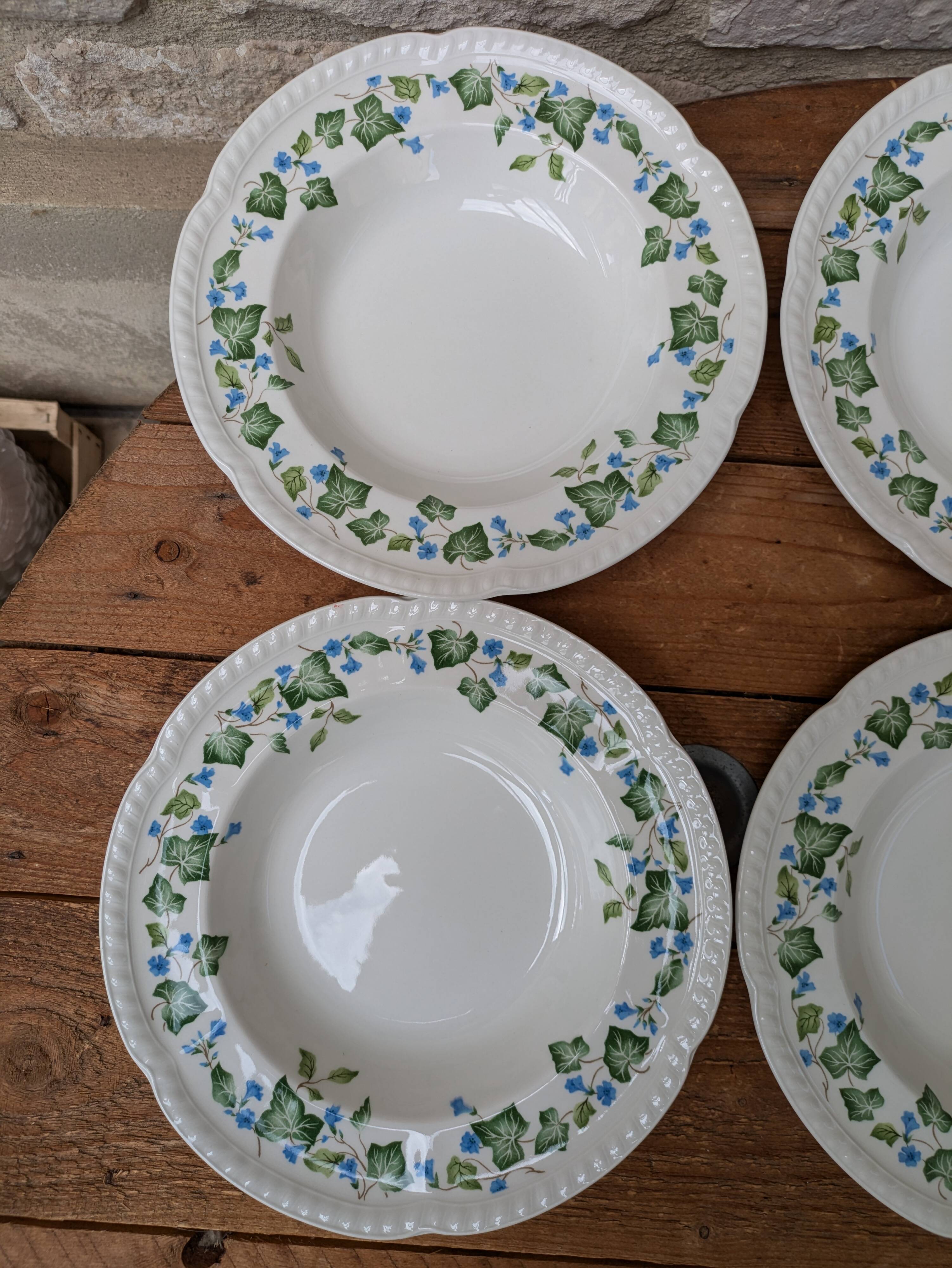 Johnson Brothers Set of 6 Ivy Leaf and Flower Blue Dinner Plates