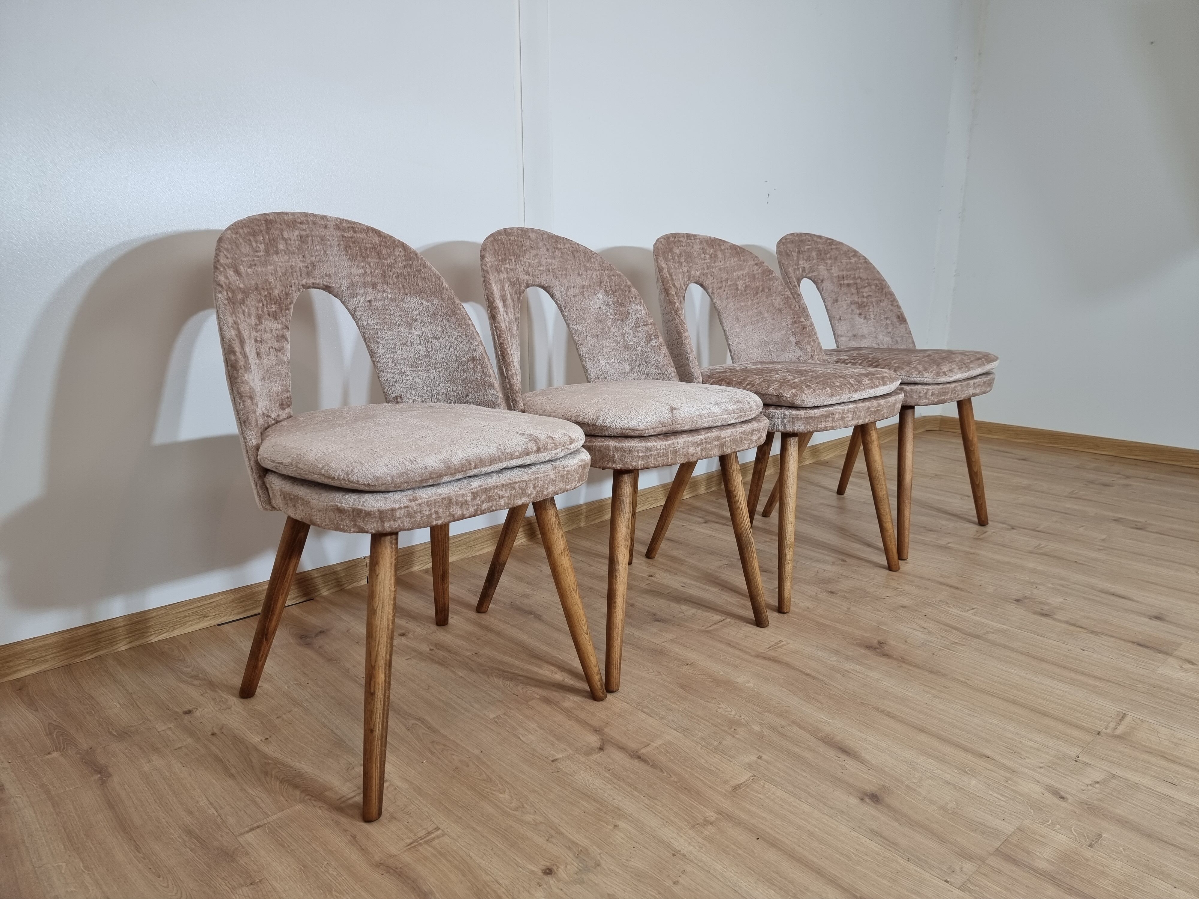 Antonin Suman dining chairs