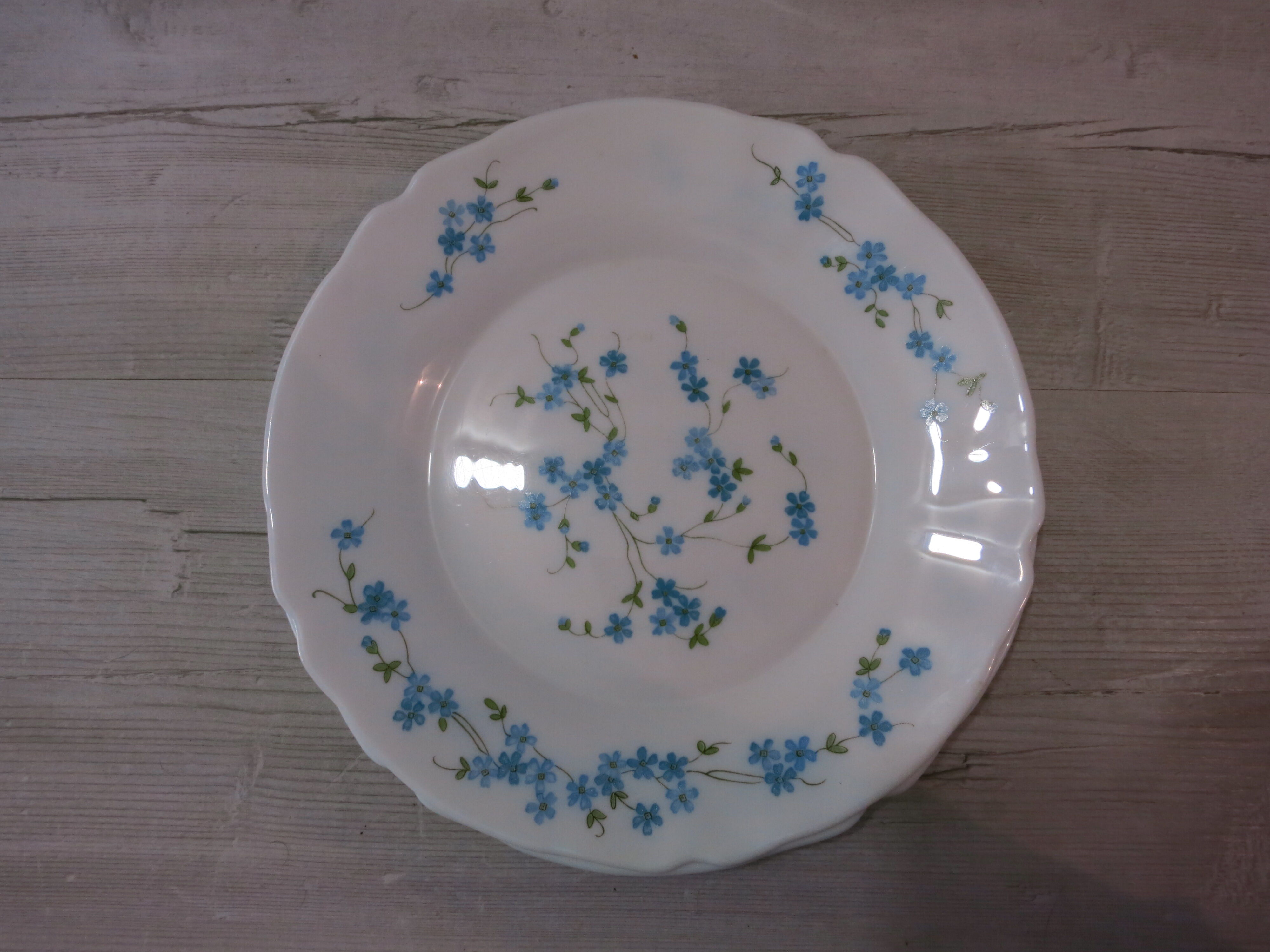 Lots de 5 d'assiettes et 1 assiette creuse , VERONICA  , Arcopal au motifs "Fleurs bleu Myosotis"