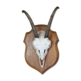 Massacre of chamois on wooden crest