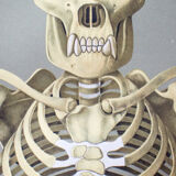 Wall poster of the school from Jung-Koch-Quentell "gorilla" 1968