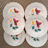 Larmor Digoin plates