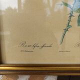 Redouté botanical board table
