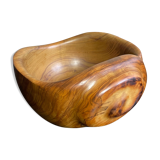 Empty wooden pocket of olivier