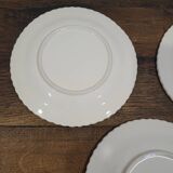 3 Lemon Barbotine plates