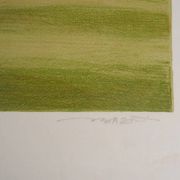 Pierre Bazire : Paysage en Normandie, lithographie originale signée
