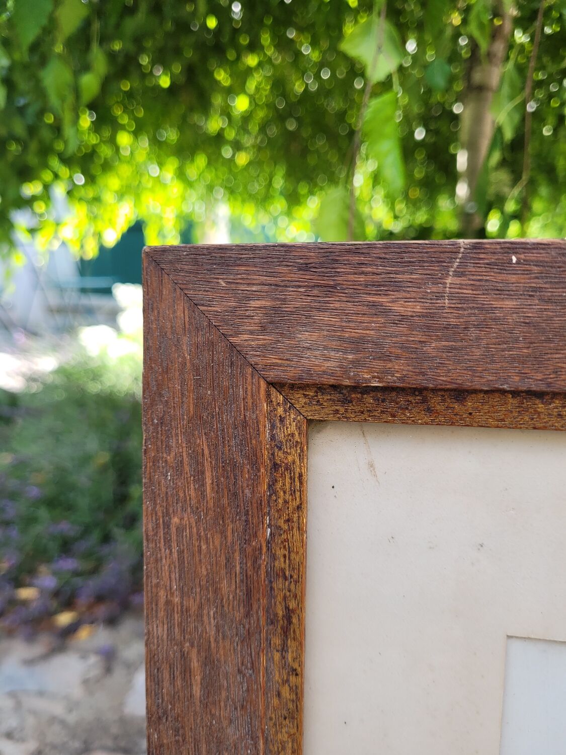 Framed portrait of a man.