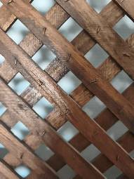 Paravent en bois d'orme de Chine