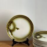 Green fish plates