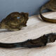 Pair of curtain embrases-holders