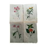 Lot of 4 botanical boards