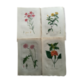 Lot de 4 planches botaniques