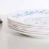 Dessert plates 6 Arcopal, Veronica pattern