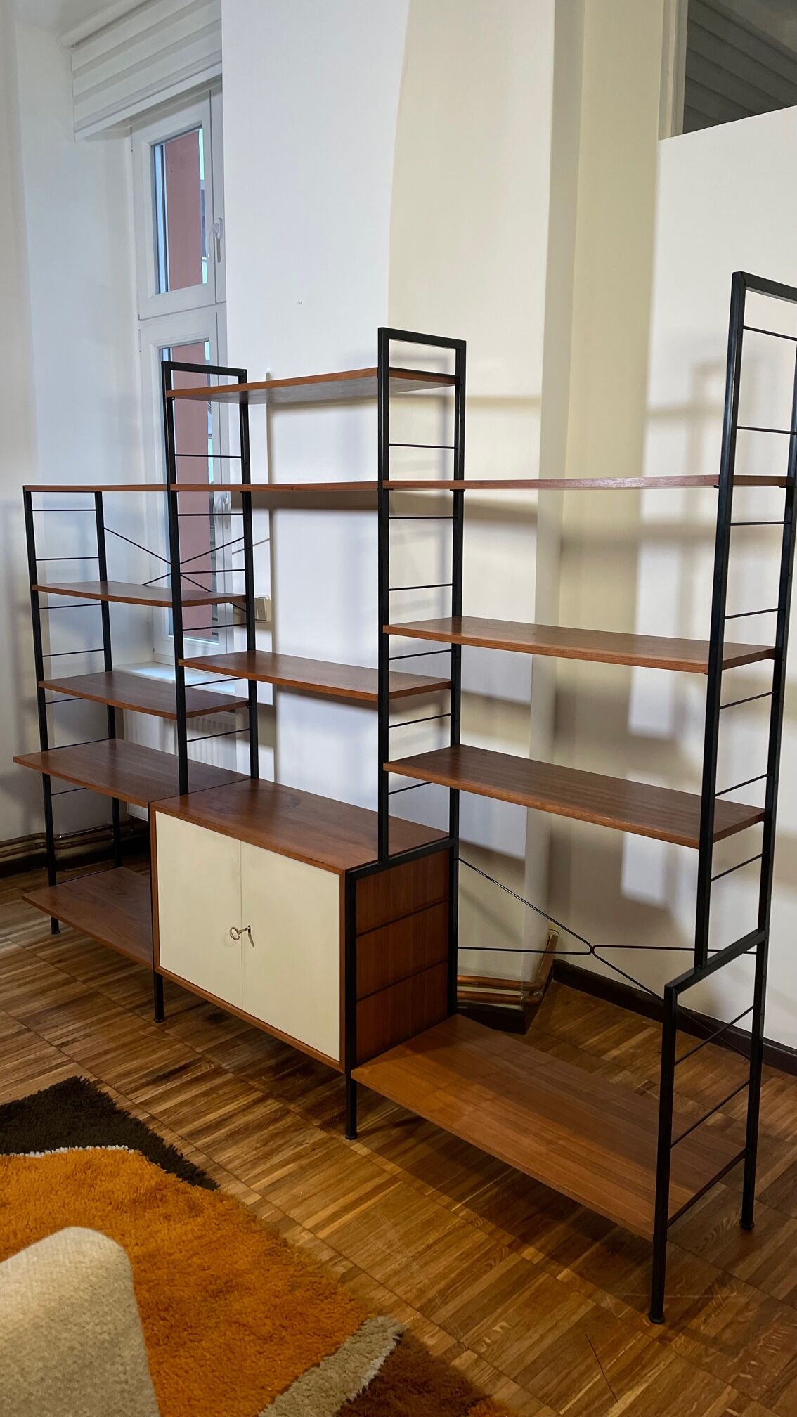Modular vintage shelves of the 60s with box